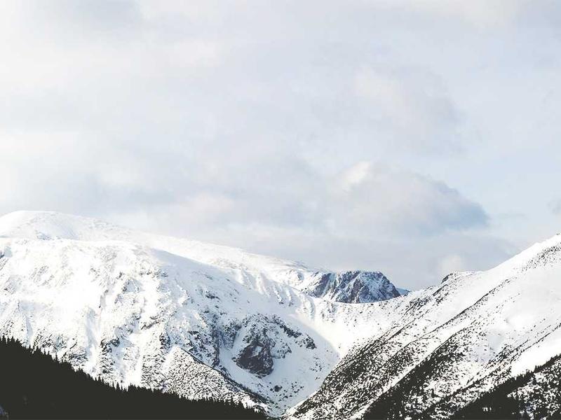 技术岗位与雇主担保