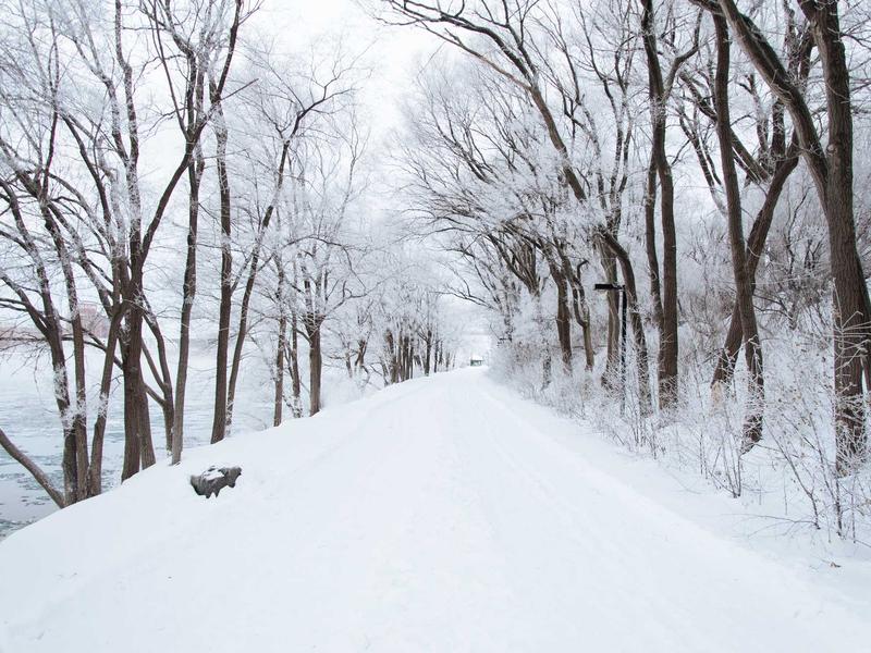 2026留学趋势示意图